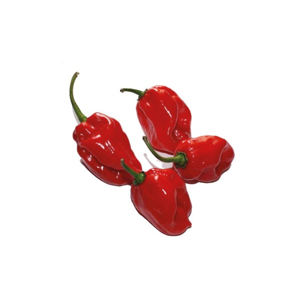 Paprika Štipľavá Habanero Red