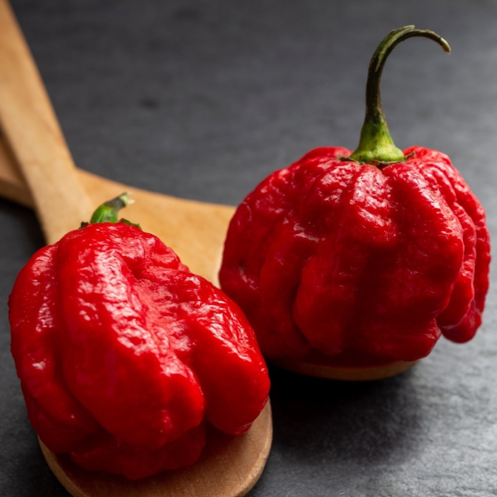 Paprika Štipľavá Trinidad Scorpion